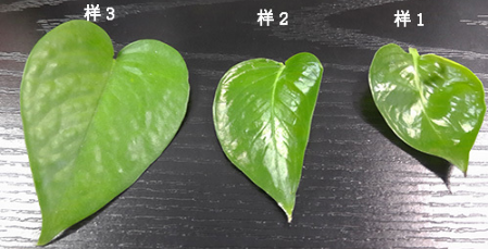 1687939013140297.png image.png