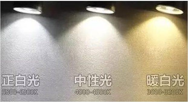 1690796856918087.png image.png