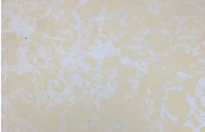 單色漆和珠光漆用什麽檢測