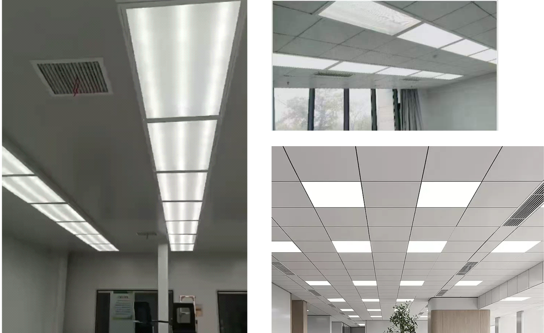 D75棉花分級kaiyun手机登录